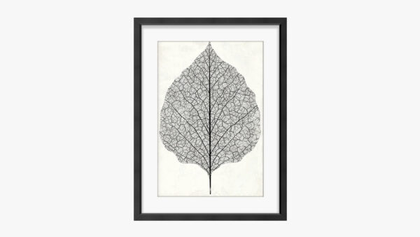 Framed Art
