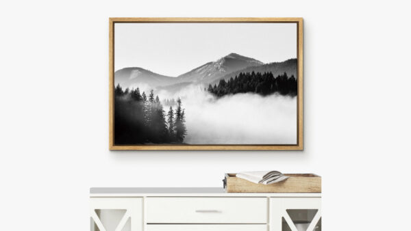Framed Canvas